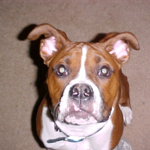 Reggie