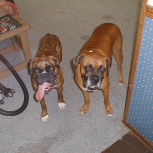 Butch & Maggie