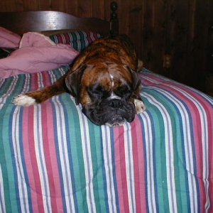Sleeping Beauty