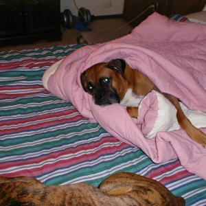 Gonna' be COLD tonight, Dad!