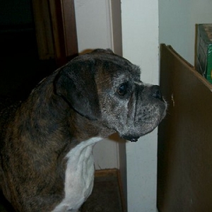 Lissa - 10 years and 11 months