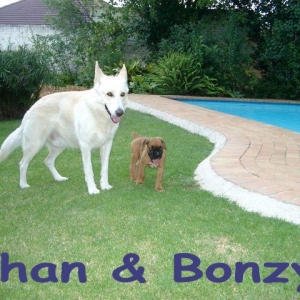 Chan & Bonzy