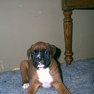 my new bud