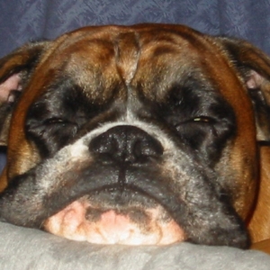 Oscar