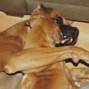 Just Playing Mom - Honest!