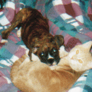 Friends Forever