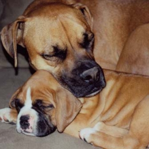 Too cute!