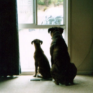 Will dad be home soon??