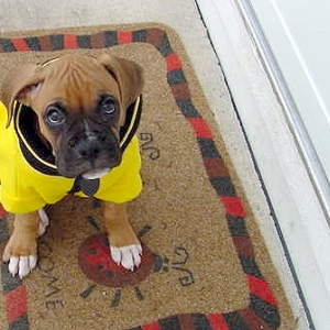 Wrigley at 9 weeks