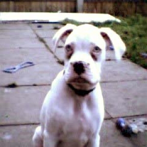 Neon at 12 week's old