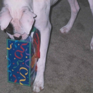 Hey Mom...What's in here?