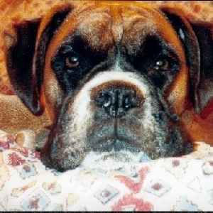 Those dreamy eyes...