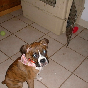 Our little Lady