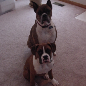 Here we are posing again