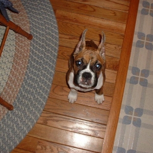 Hi Mommy!