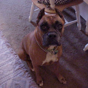 What? (4.2002)