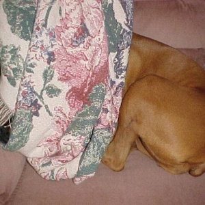 SShhhhhh