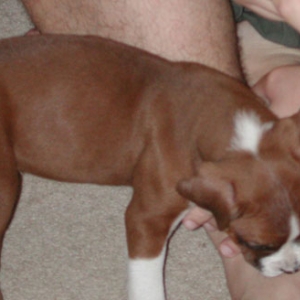 Baby Reggie