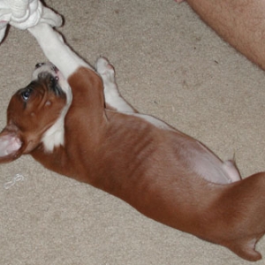 Baby Reggie