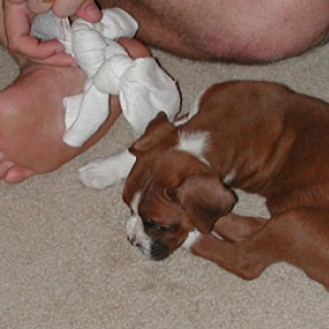 Baby Reggie