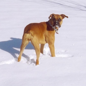 Mylee's First Snow