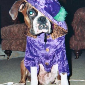 Halloween 2003