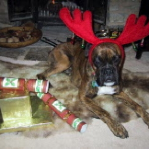 Christmas Greetings