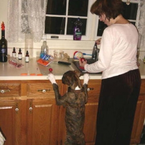 Otis helping out in the kitchen
