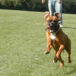 Enjoying Life