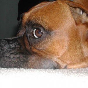 Yeah I See You