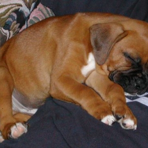 First Day Home