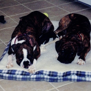 Sharing a rest spot