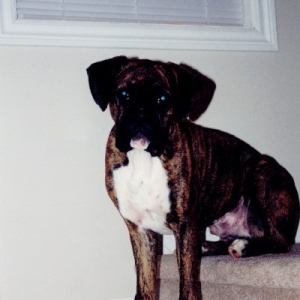 Riggs almost 6 months