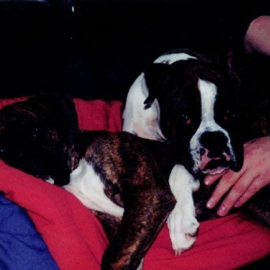 Aww..so cute together