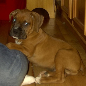 Paulie's 1st day home