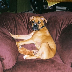 Sitting Pretty