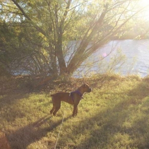 Sunset on Roxy
