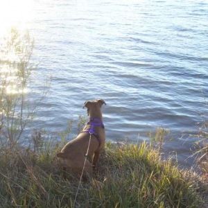 Duck Hunting!!!