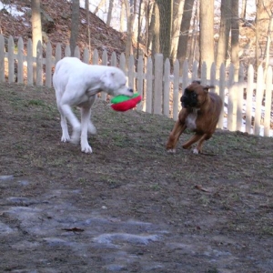 Catch me if you can