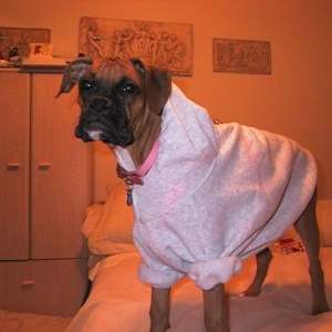 Getting ready for winter