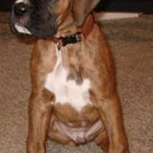 Tough Boy Tyson