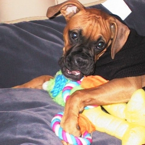 Can I play?