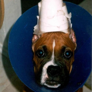 Don't be jealous of my hat...