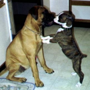 Best Friends