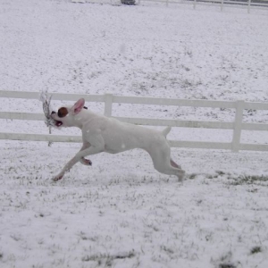 Ozwalds First Snow