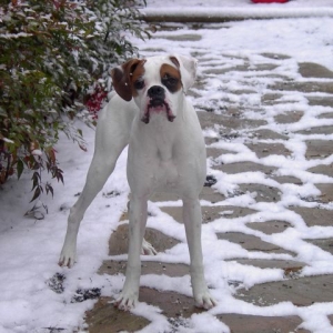What's with all the white stuff?