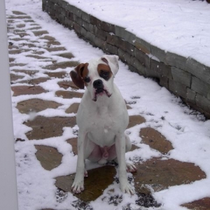 Can we go in yet??