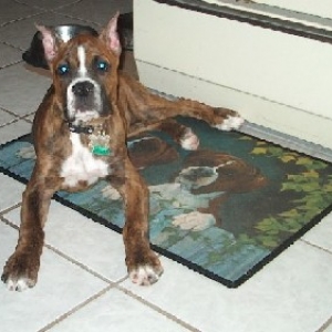 Cooper