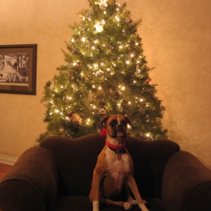 lolaxmas