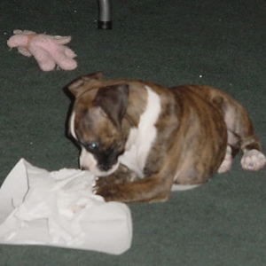 Busted!!